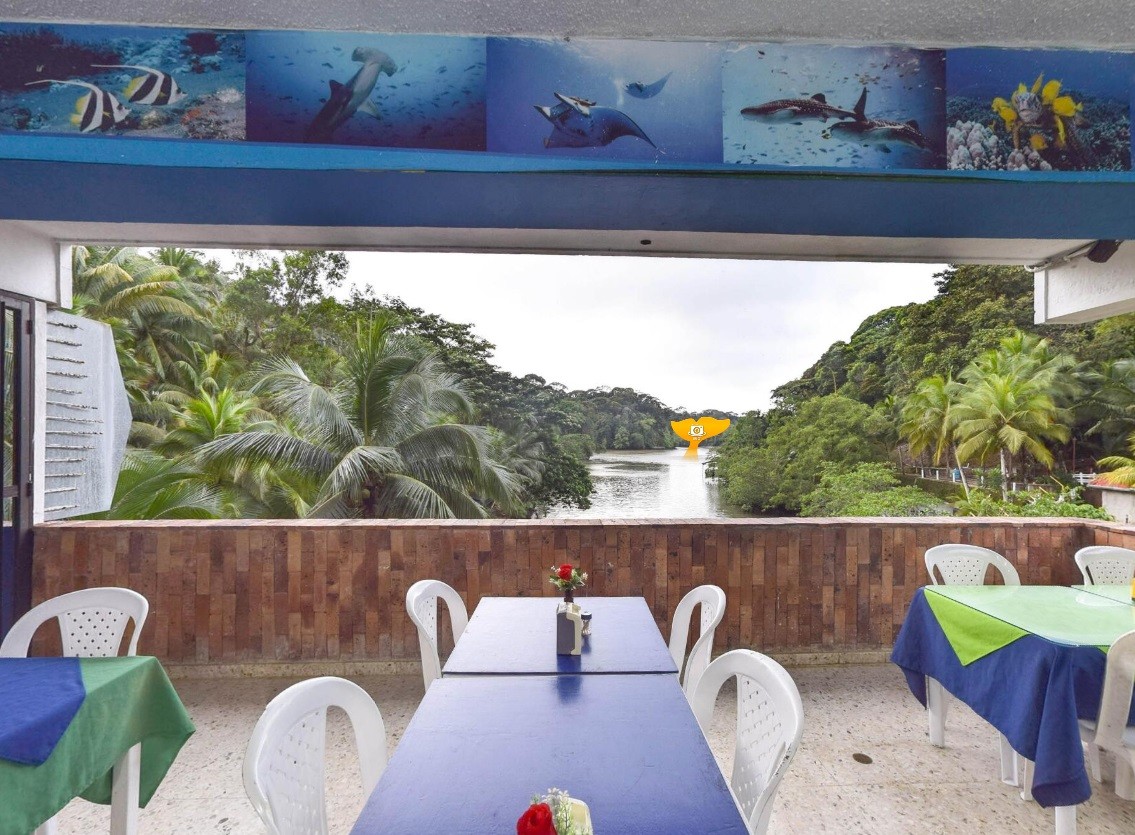 restaurante vista